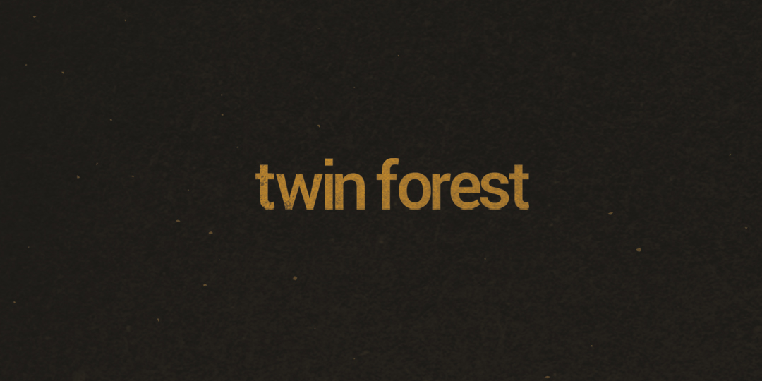 Twin Forest + Fahrenheit en Logroño