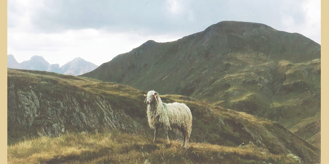 McEnroe presenta 'La vida libre' en Granada