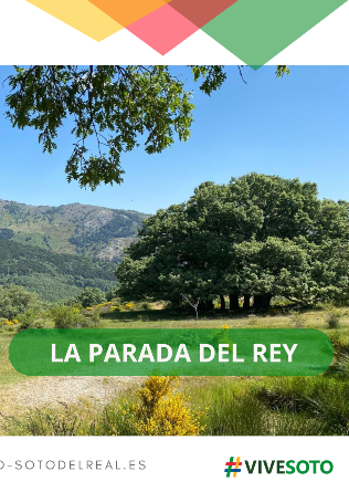 Rutas Guiadas Turismo Soto del Real SÁBADO 