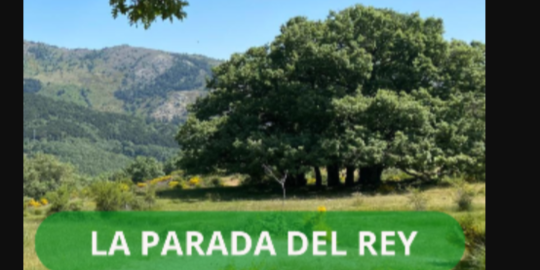 Rutas Guiadas Turismo Soto del Real SÁBADO 