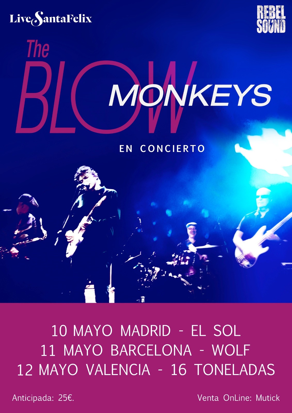 The BLOW MONKEYS en Valencia - Mutick