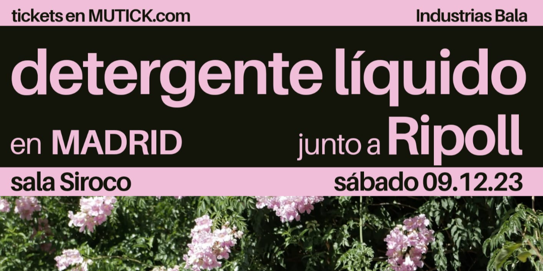 DETERGENTE LIQUIDO + Ripoll en Madrid 