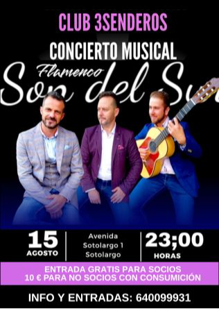 Son del Sur - Flamenco en Sotolargo